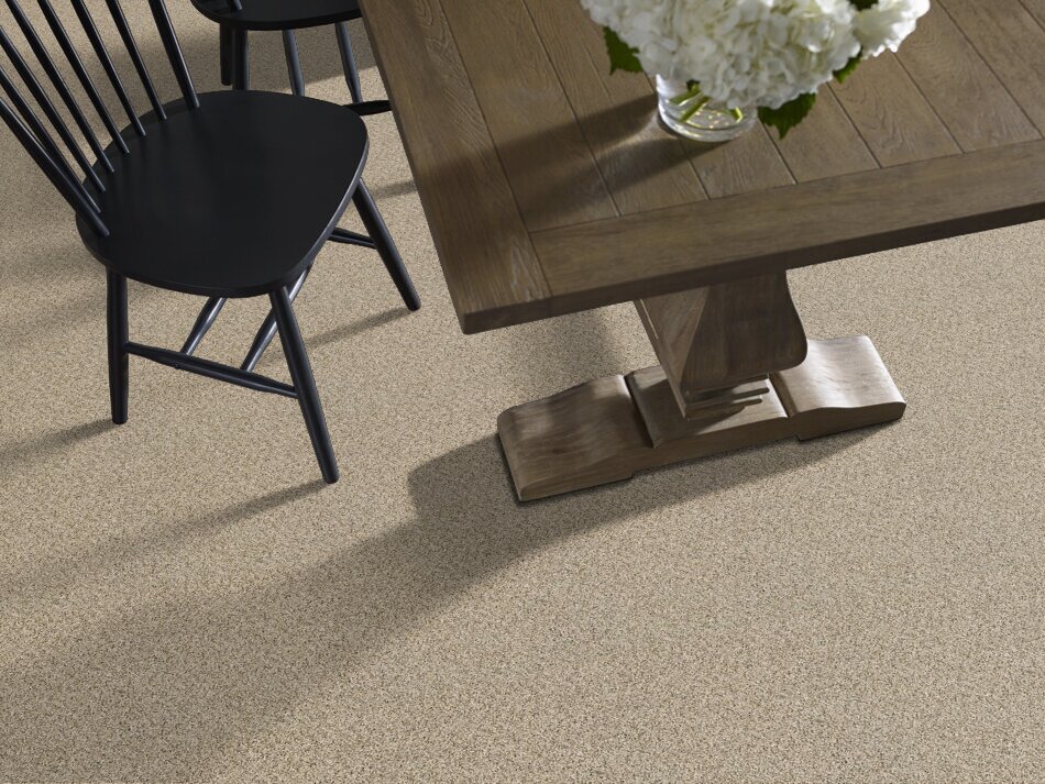 ABSOLUTELY IT -  BLISS  -  SHAW FLOORS RETAIL