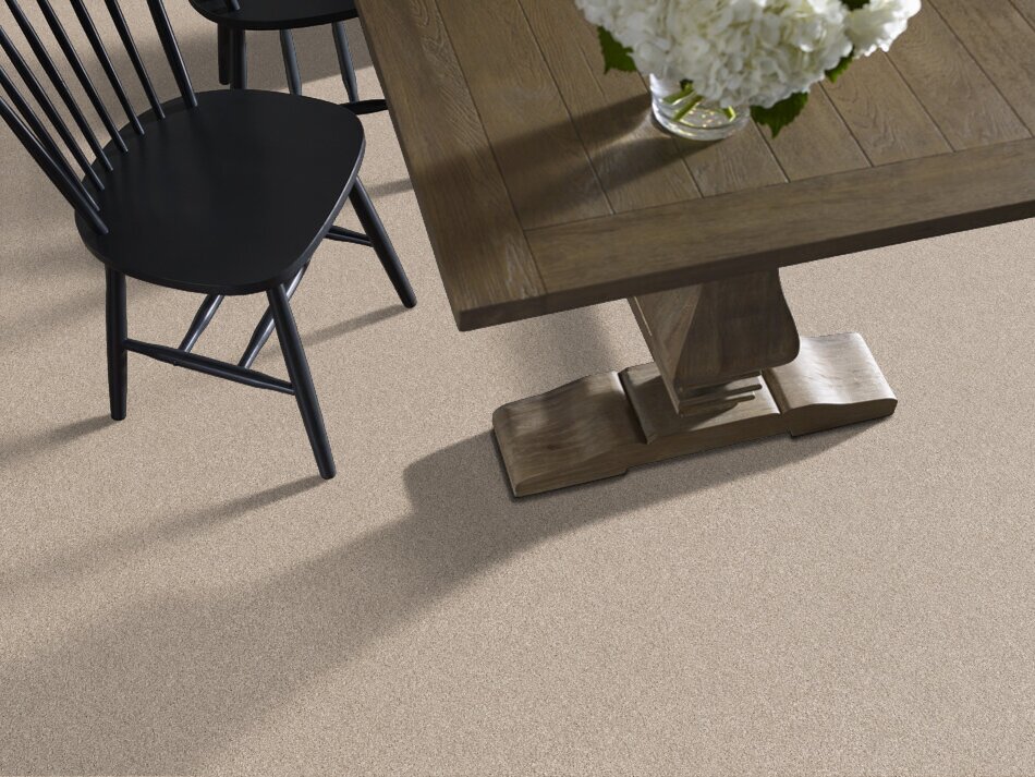 ALL ABOUT IT -  BISCOTTI  -  SHAW FLOORS RETAIL