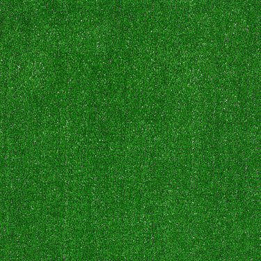 ARBOR VIEW (S) - GRASS CLIPPINGS - PHILADELPHIA MAINSTREET
