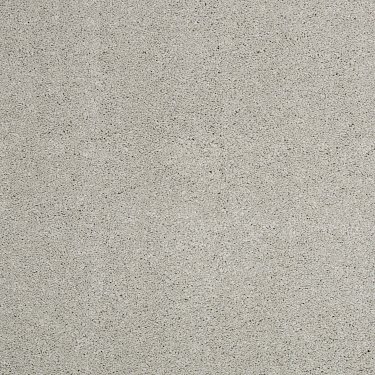 CASHMERE CLASSIC III NET - FROTH - SHAW FLOORS NET