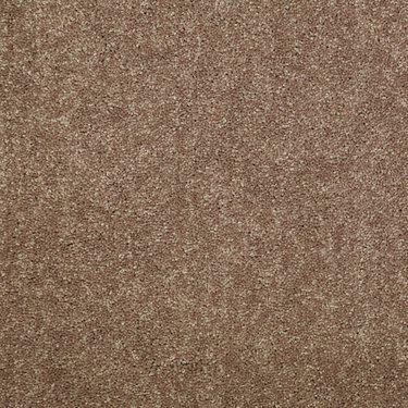 DYERSBURG CLASSIC 12' - CANDIED TRUFFLE - SHAW FLOORS VALUE