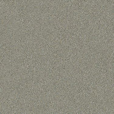 MONTAGE II NET - TEMPTING TAUPE - SHAW FLOORS NET