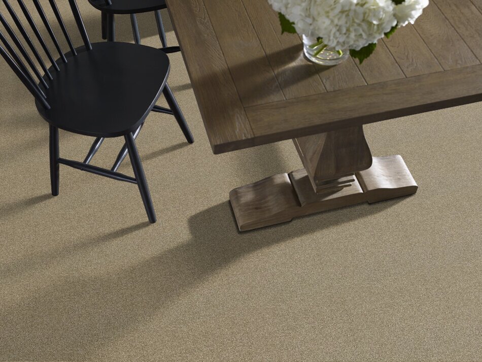 OF COURSE WE CAN II 15' -  BISCOTTI  -  SHAW FLOORS RETAIL