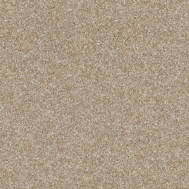 OF COURSE WE CAN II 15' - SAND CASTLE - SHAW FLOORS RETAIL