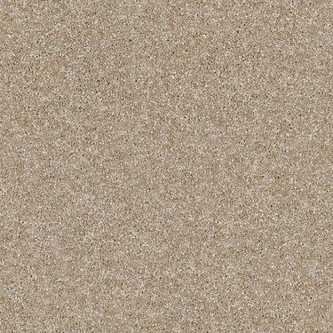 OF COURSE WE CAN III 12' - SAND CASTLE - SHAW FLOORS RETAIL