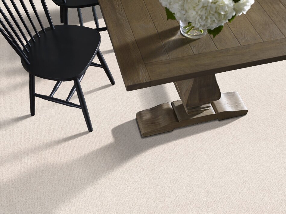 OUTSIDE THE LINES -  SNOW FALL  -  SHAW FLOORS RETAIL