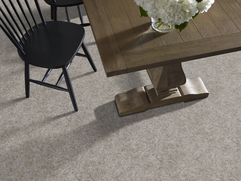 STATE OF MIND -  COLD WINTER  -  SHAW FLOORS RETAIL