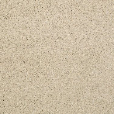 CASHMERE II LG - YEARLING - SHAW FLOORS RETAIL